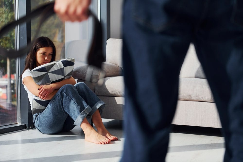 Domestic violence risk in child custody in Florida